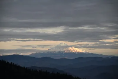 DSC_0109 (Large).JPG